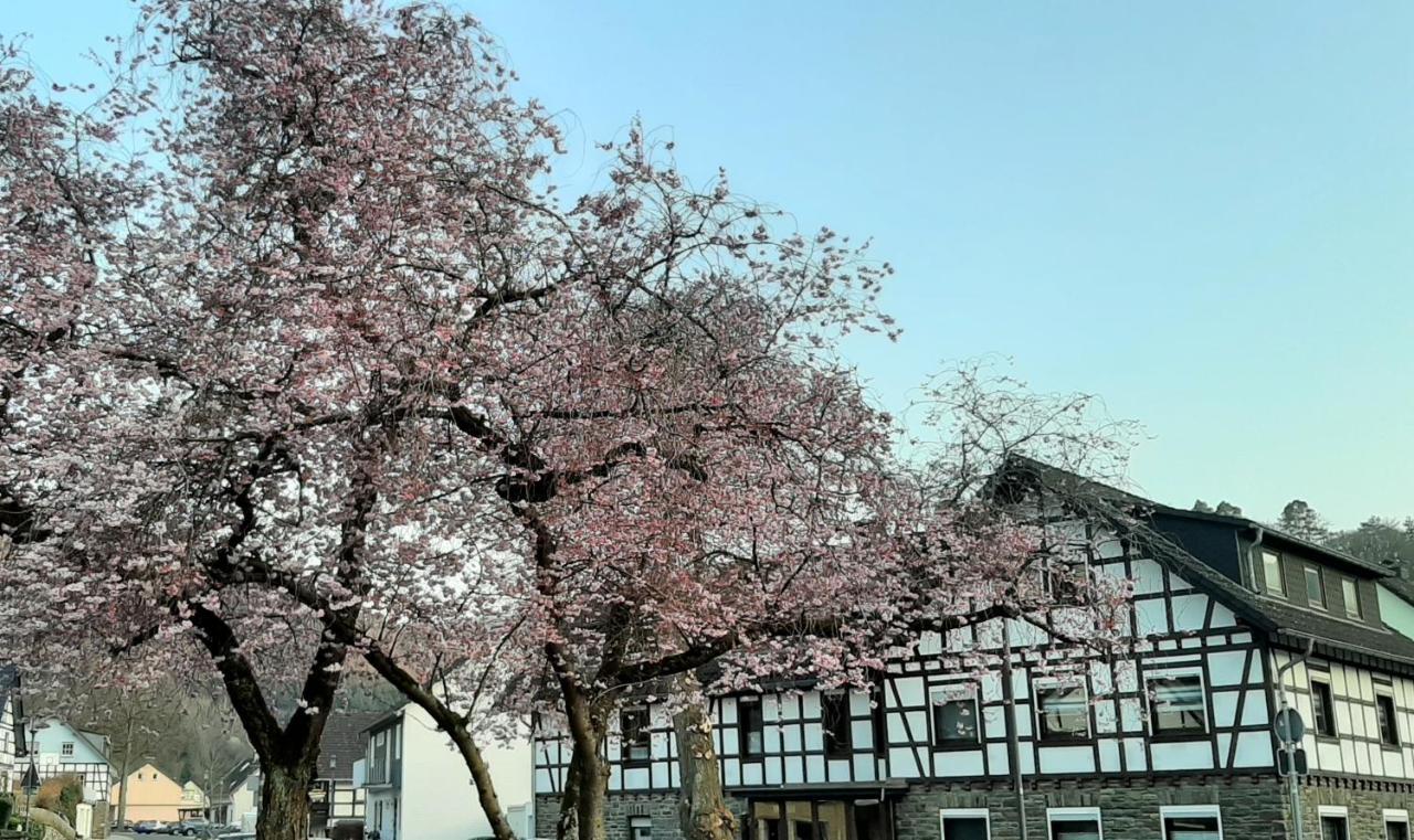 VivaNatura Eifelferienhaus Einruhr Exterior foto